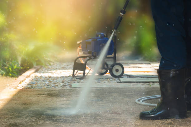 Best Roof Cleaning and Mildew Removal in Apison, TN